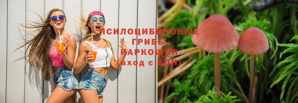 круглые Арсеньев