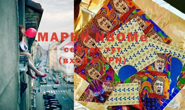 хмурый Алзамай