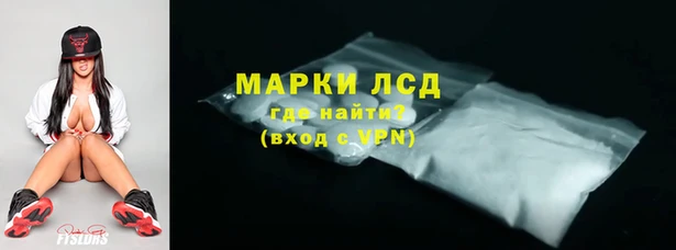 гашик Аркадак