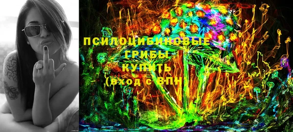 гашик Аркадак