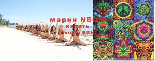 гашик Аркадак