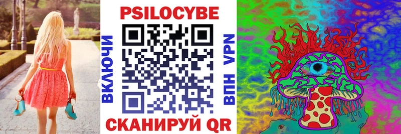 Псилоцибиновые грибы Psilocybine cubensis  закладка  Чехов 